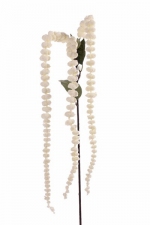 Amaranthus de luxe 73cm